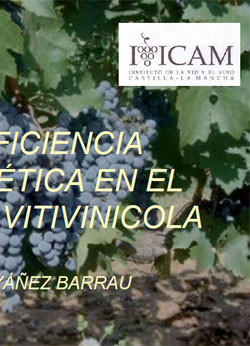 Portada de Eficiencia energética en el sector vitivinicola