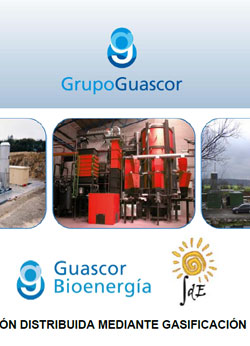 Portada de GD por gasificación de biomasa