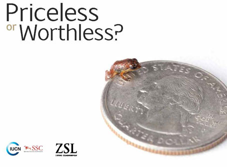 Portada de Informe Priceless or Worthless